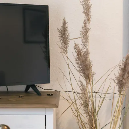 Daire Gemuetliches 10min Zur Neustadt -netflix- Dresden